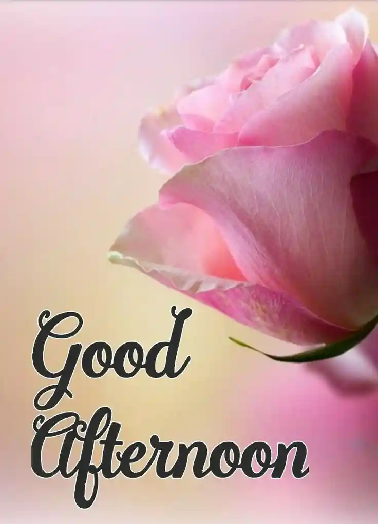 beautiful-good-afternoon-images