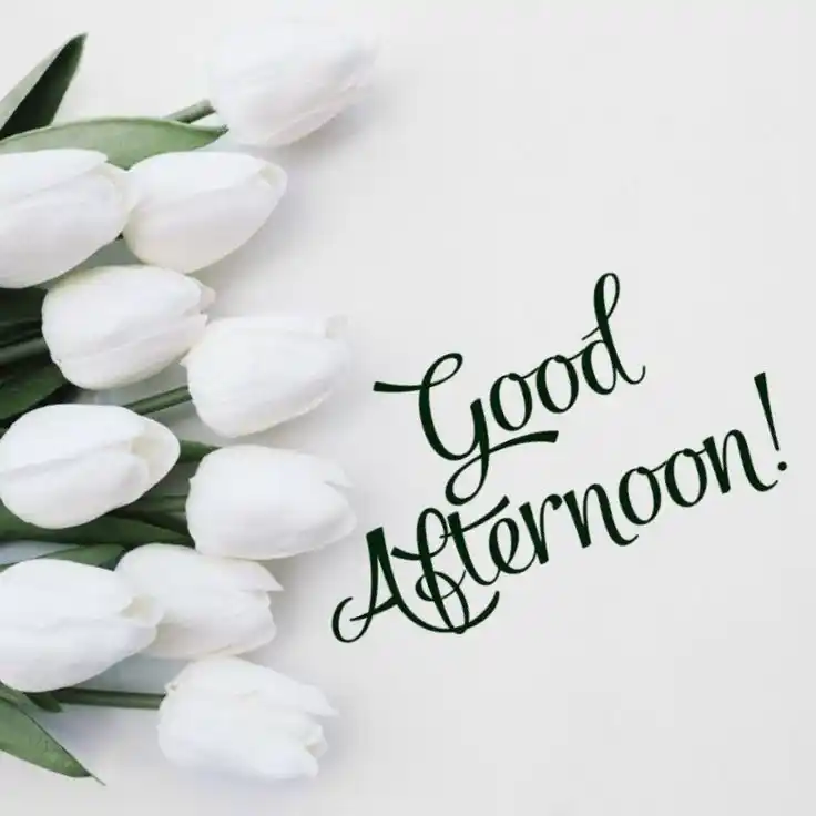 good-afternoon-images