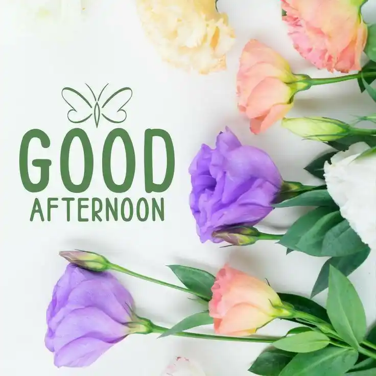 good-afternoon-images