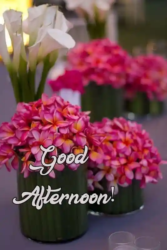 good-afternoon-love-images