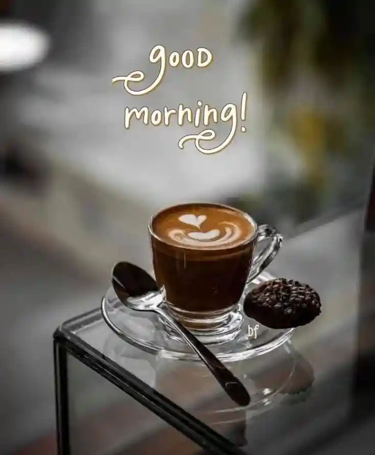 good-morning-flower-images