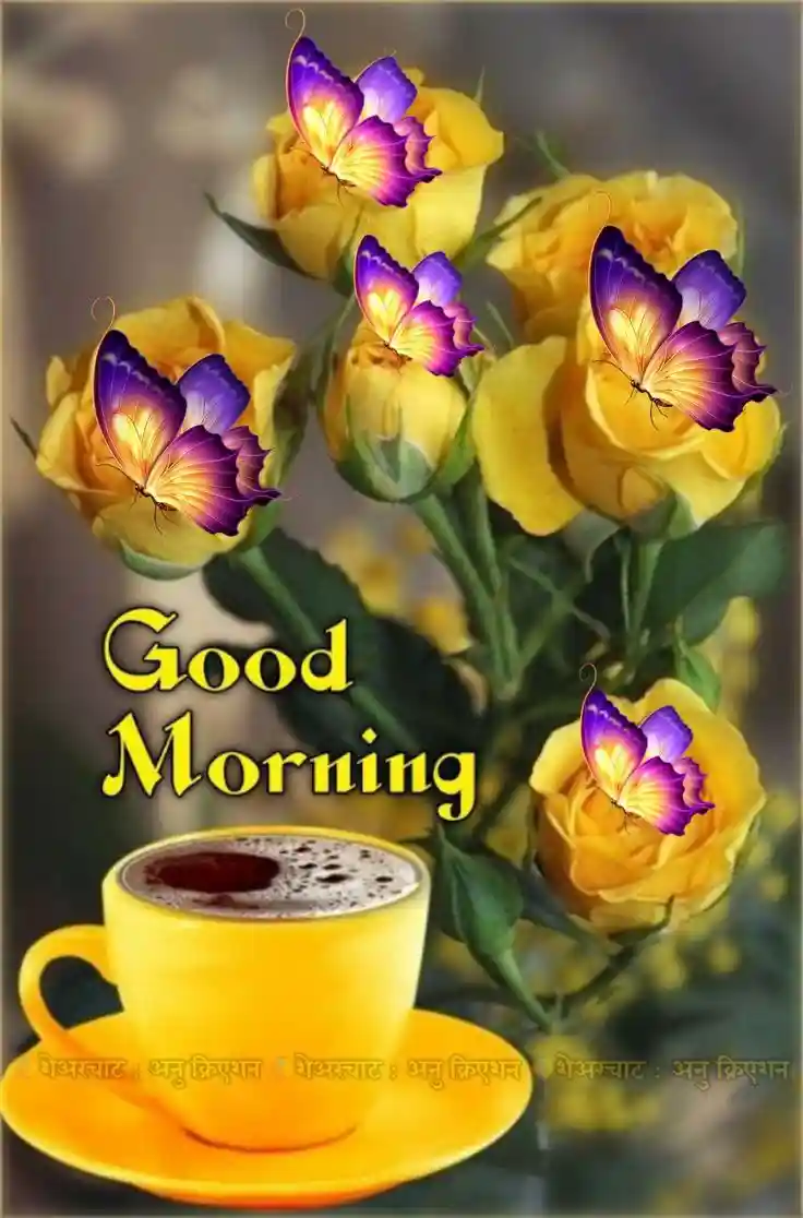 good-morning-flower-images