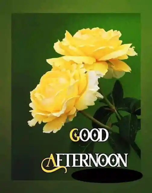 kiss-romantic-good-afternoon-images