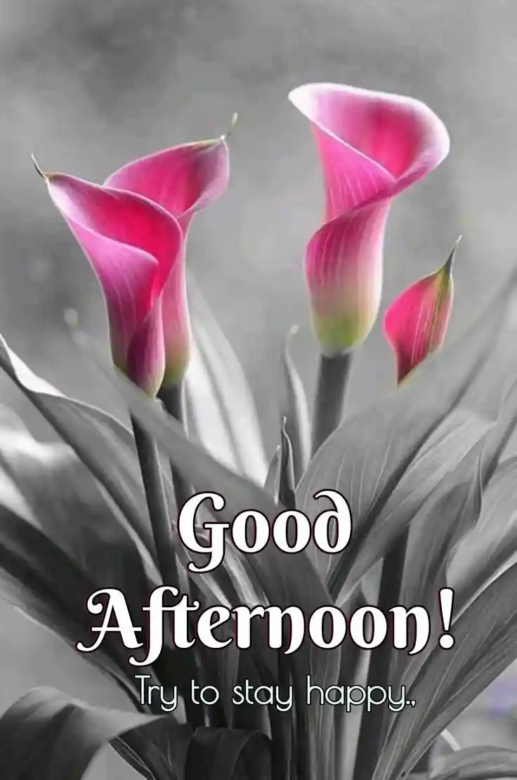 kiss-romantic-good-afternoon-images