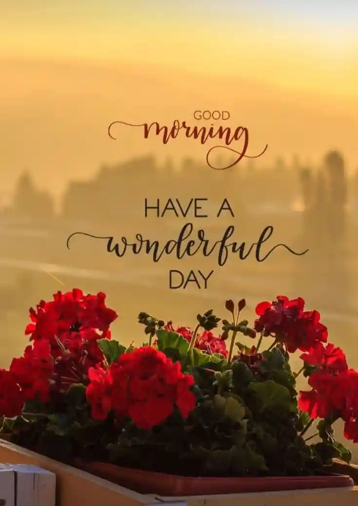 lovely-good-morning-images