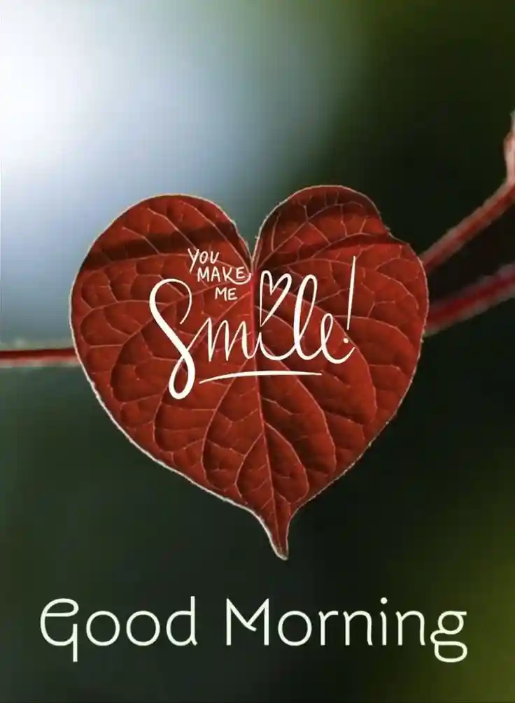 new-good-morning-images