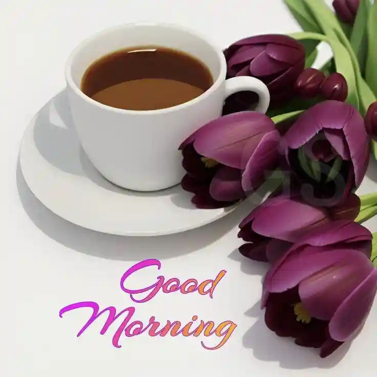 new-good-morning-images